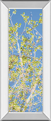 Mirrored Frame Spring Poplars II By Sharon Chandler