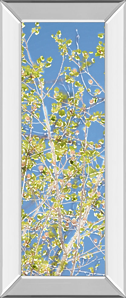 Mirrored Frame Spring Poplars II By Sharon Chandler