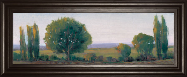 Panoramic Treeline I By Tim Otoole
