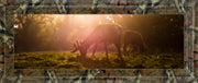 Morning Haze By Joe Reynolds ***Monl***