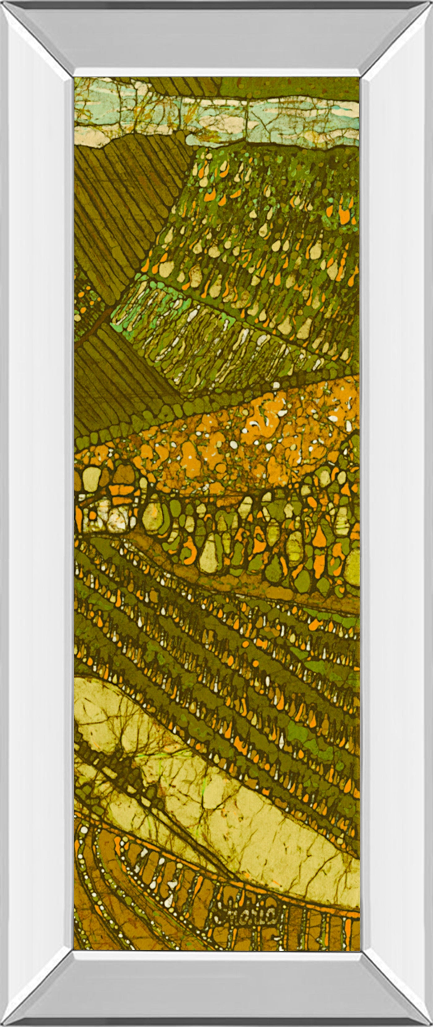 Mirrored Frame Vineyard Batik II By Andrea Davis