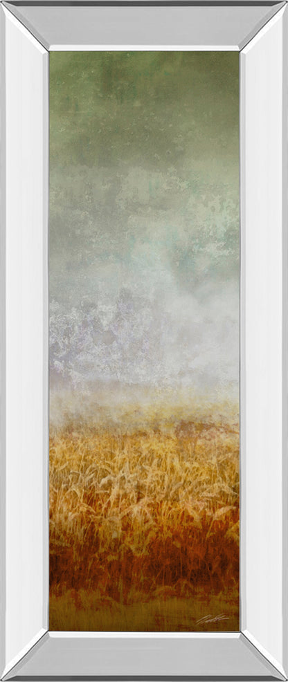 Mirrored Frame Lush Field I By John Butler