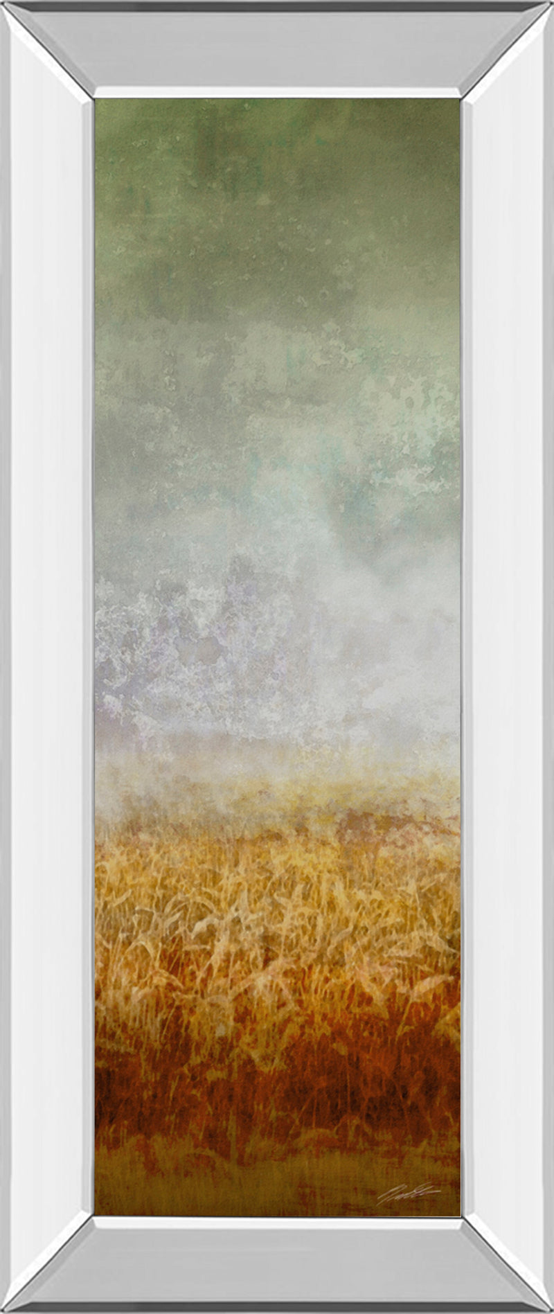 Mirrored Frame Lush Field I By John Butler