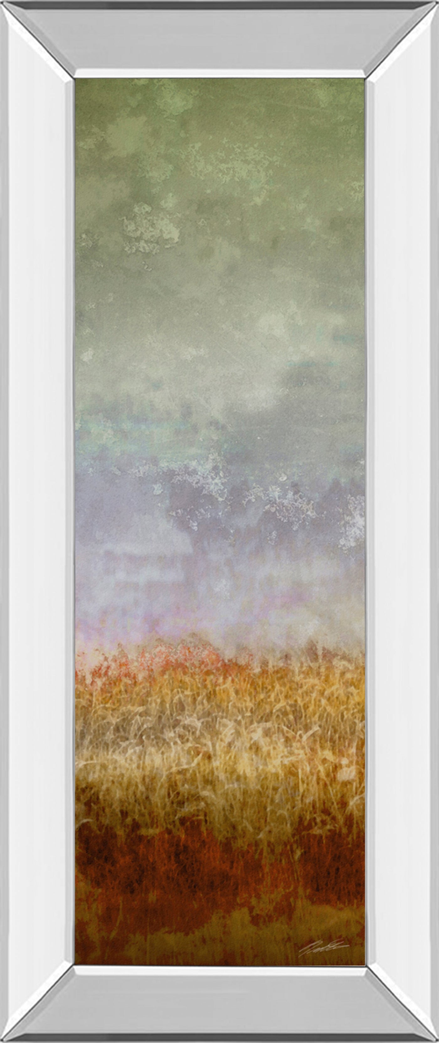 Mirrored Frame Lush Field II By John Butler