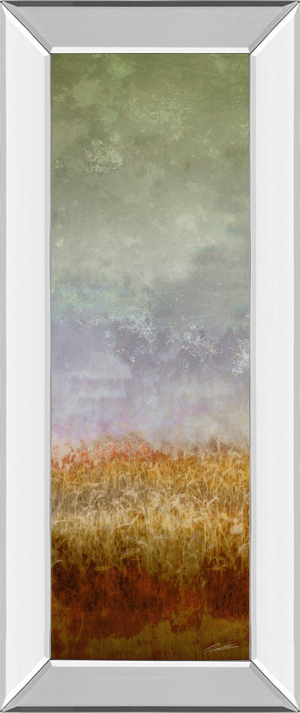 Mirrored Frame Lush Field II By John Butler