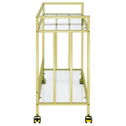 Estante de vidrio rectangular de dos niveles Cara, carrito de bar de metal, latón