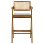 Silla de bar de ratán tejido Kane en nogal claro (juego de 2)