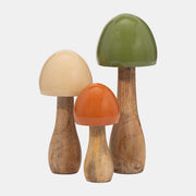 Madera, hongo cónico