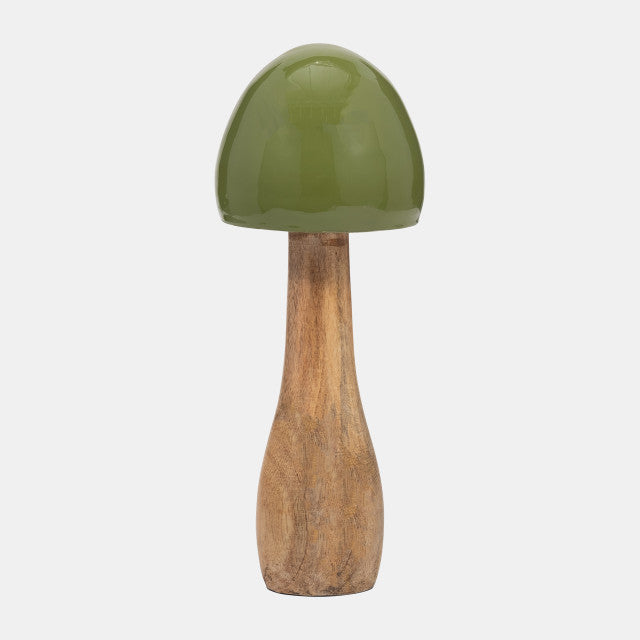 Madera, hongo cónico
