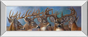 Mirrored Frame Five Bucks By Carolyn Mock