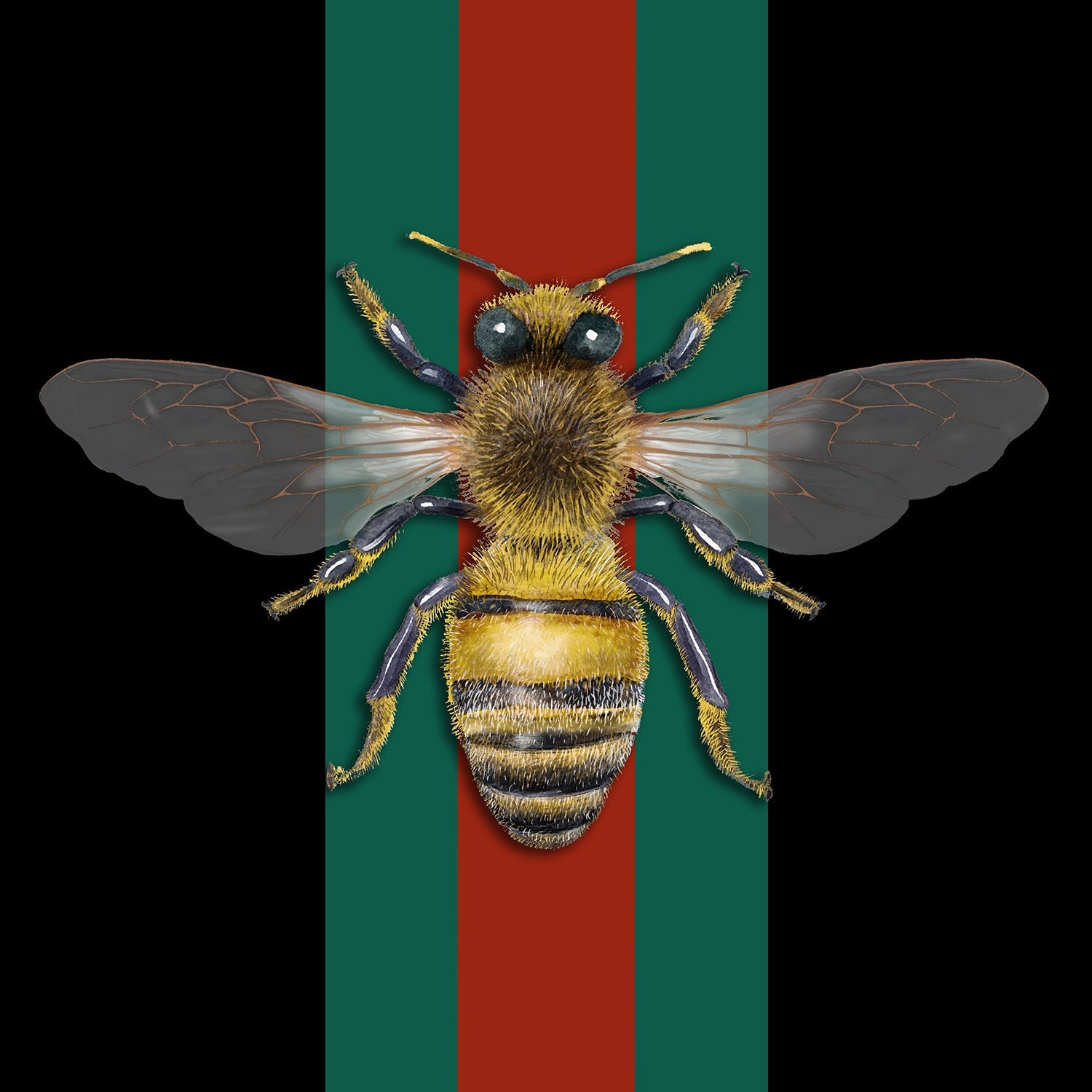 ''Queen Bee'' Tempered Glass