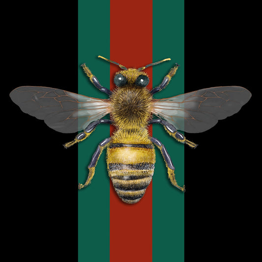 ''Queen Bee'' Tempered Glass