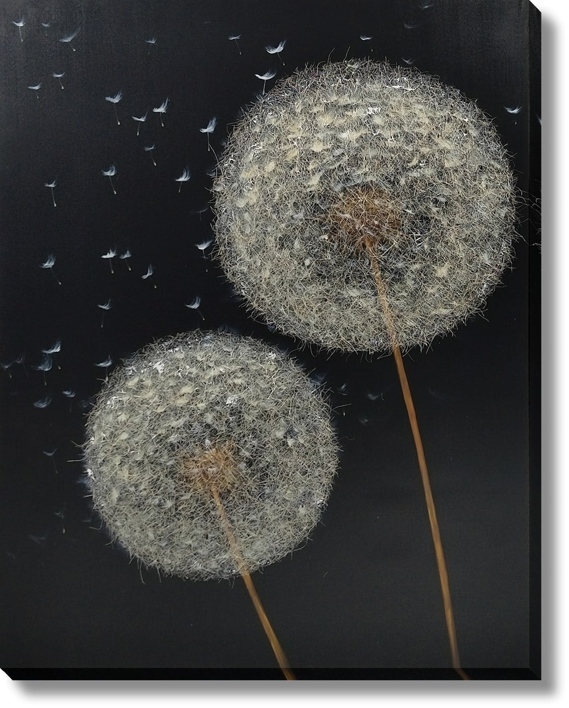 ''Midnight Wish Dandelions'' Hand-painted 3D Canvas