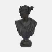 Grecian Bust Distressed Resin 12" Bronze