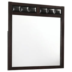 Carlton Dresser Mirror in Cappuccino