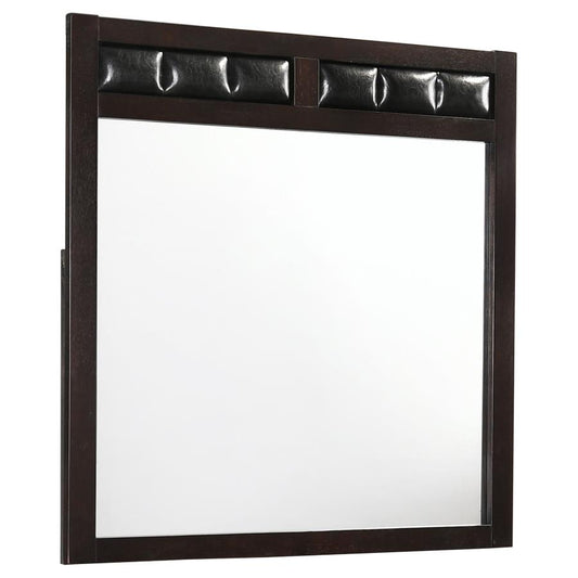 Carlton Dresser Mirror in Cappuccino