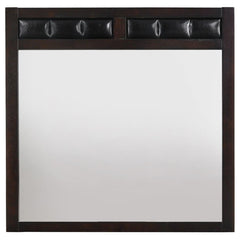 Carlton Dresser Mirror in Cappuccino