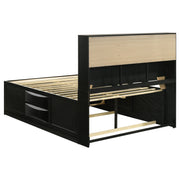 Briana Storage Bedroom Set