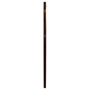 Durango 80-inch Standing Floor Mirror Smoked Peppercorn