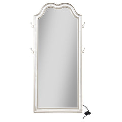 Espejo de pie Evangeline Length con luz LED en roble plateado