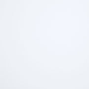 Bexhill 56-inch Upholstered  Panel Bed White