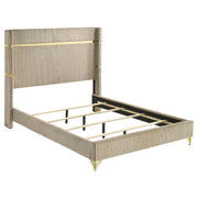 Cama Lucia de 61 pulgadas con respaldo alto tapizado en beige