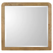 Robyn Dresser Mirror