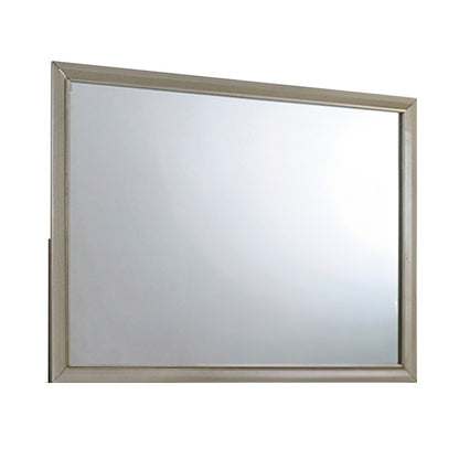 Carine Rectangular 45''L x 35''H Mirror