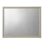 Carine Rectangular 45''L x 35''H Mirror