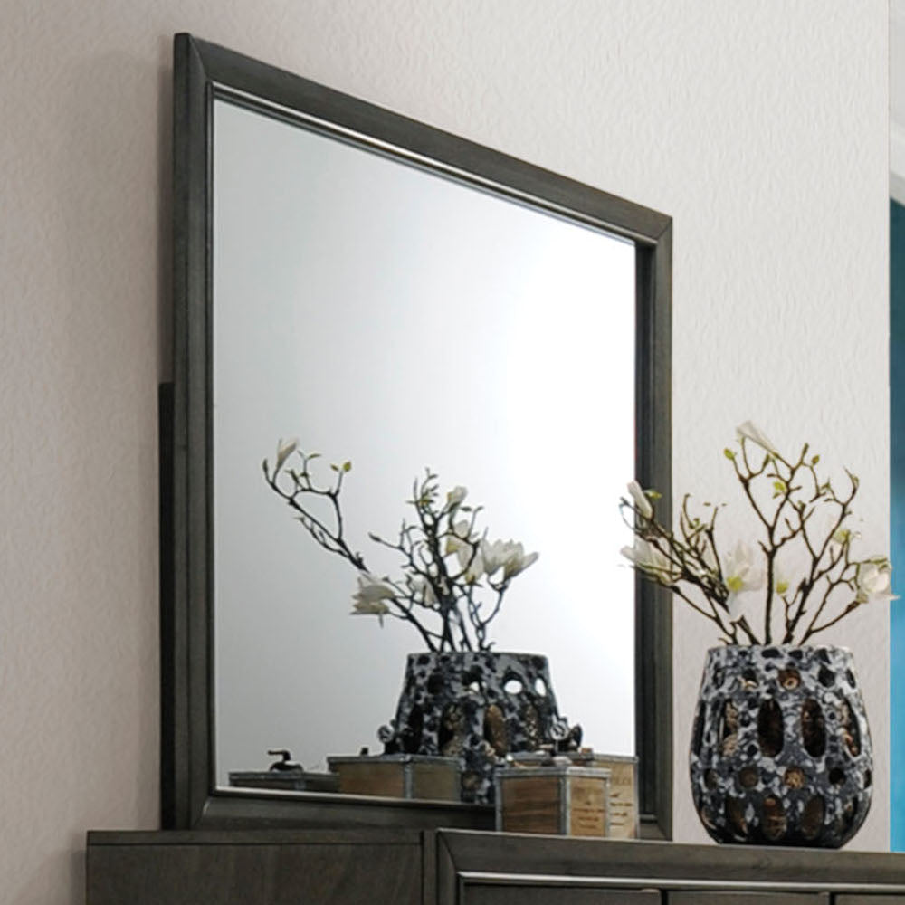 Carine II Rectangular 45''L x 35''H Mirror