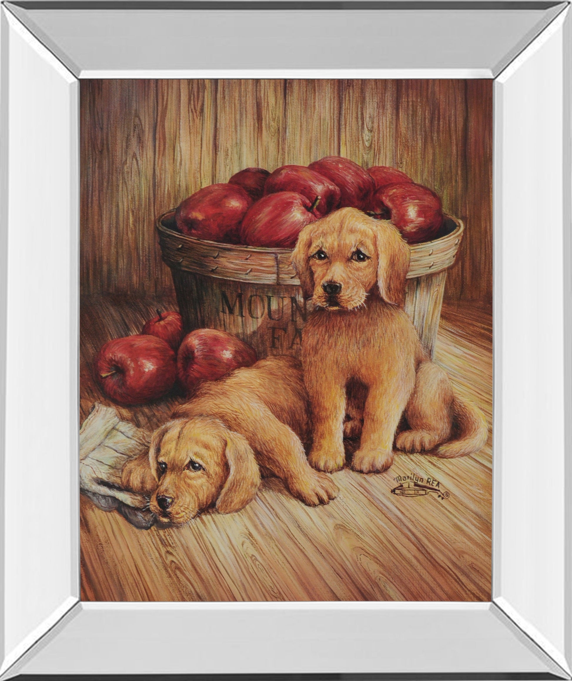 Mirrored Frame Promotional Line 22X26