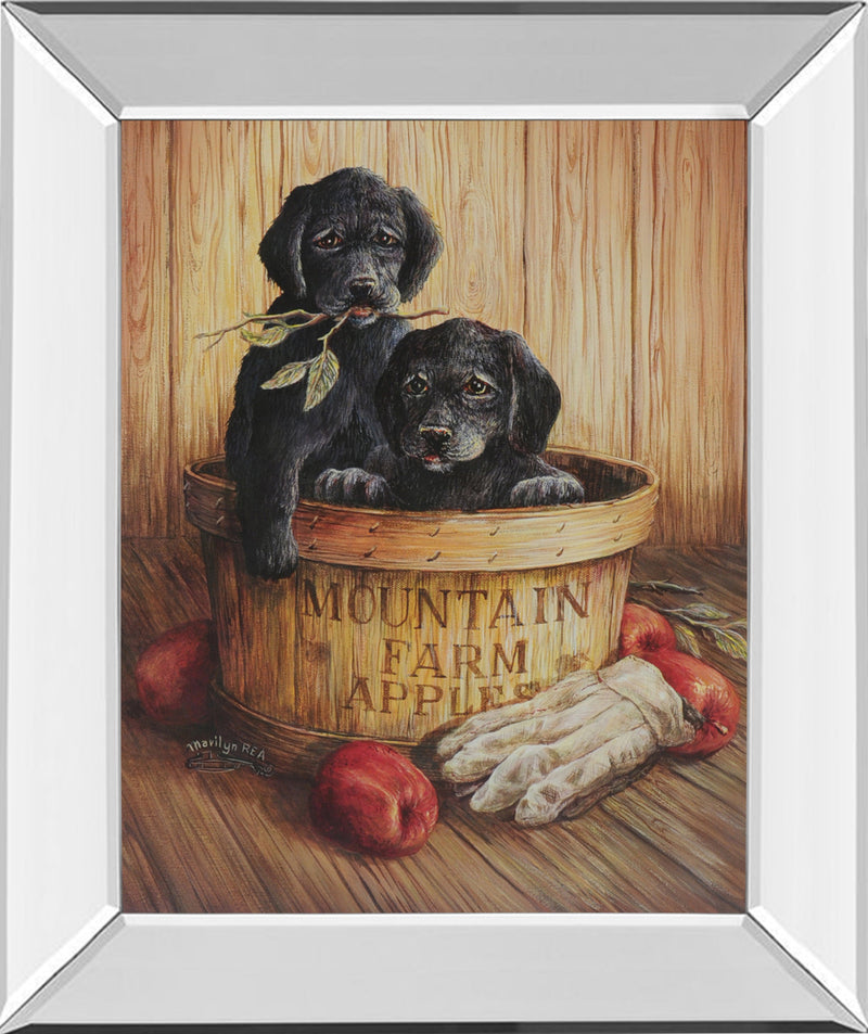 Mirrored Frame Promotional Line 22X26