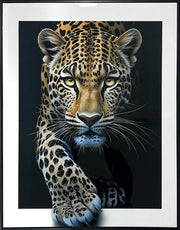 Midnight Stalker I Gloss Canvas w/Rocks in Frame
