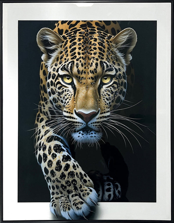 Midnight Stalker I Gloss Canvas w/Rocks in Frame