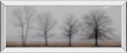 Early December By Jacks, H.