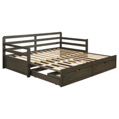 Sofá cama Sorrento XL de 2 cajones con cama nido extensible, color gris