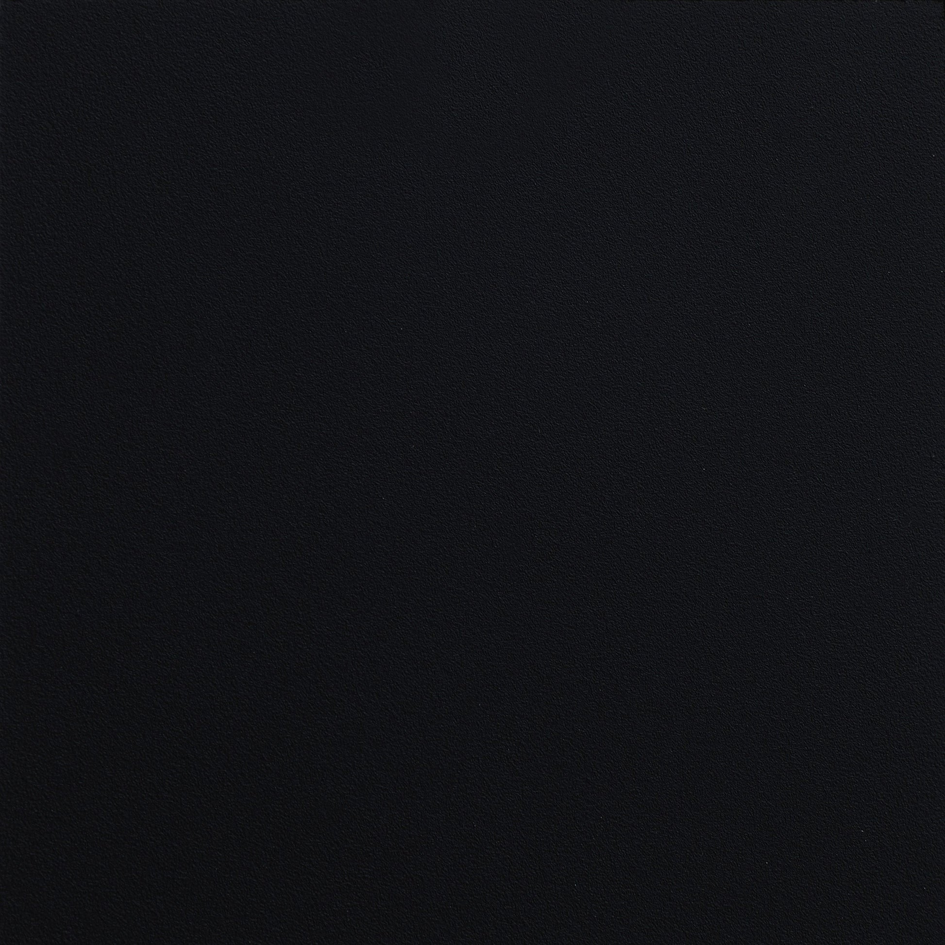 Coaster Mabel Mattress Support Black Twin