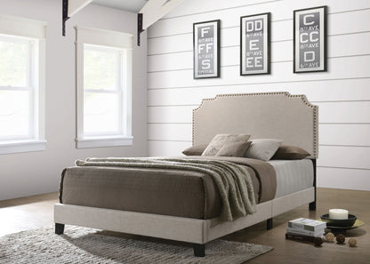 Tamarac Upholstered Panel Bed Beige