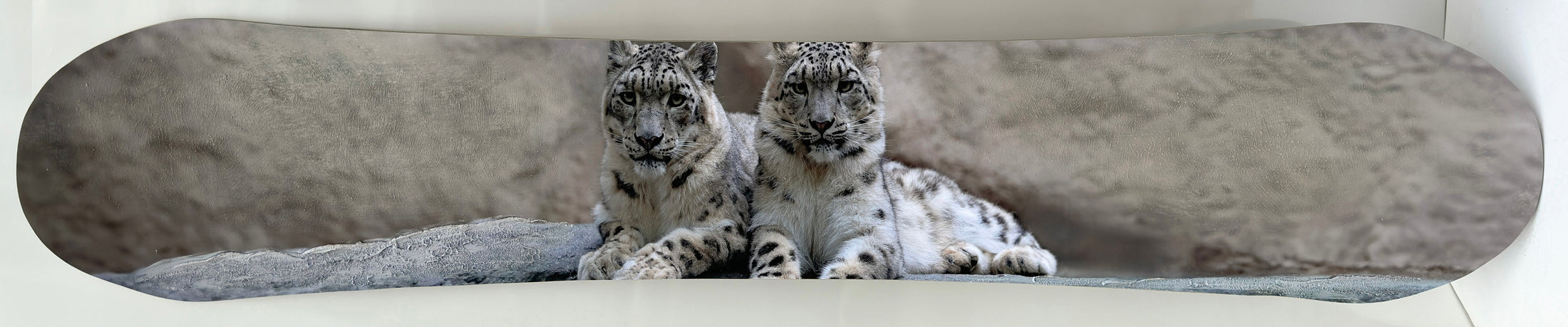 ''Snowboard with Snow Leopards'' Hand-painted Snowboard
