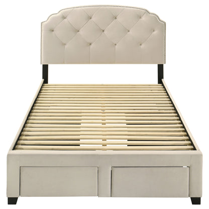 Marianna 4-drawer Upholstered Storage Bed Cream