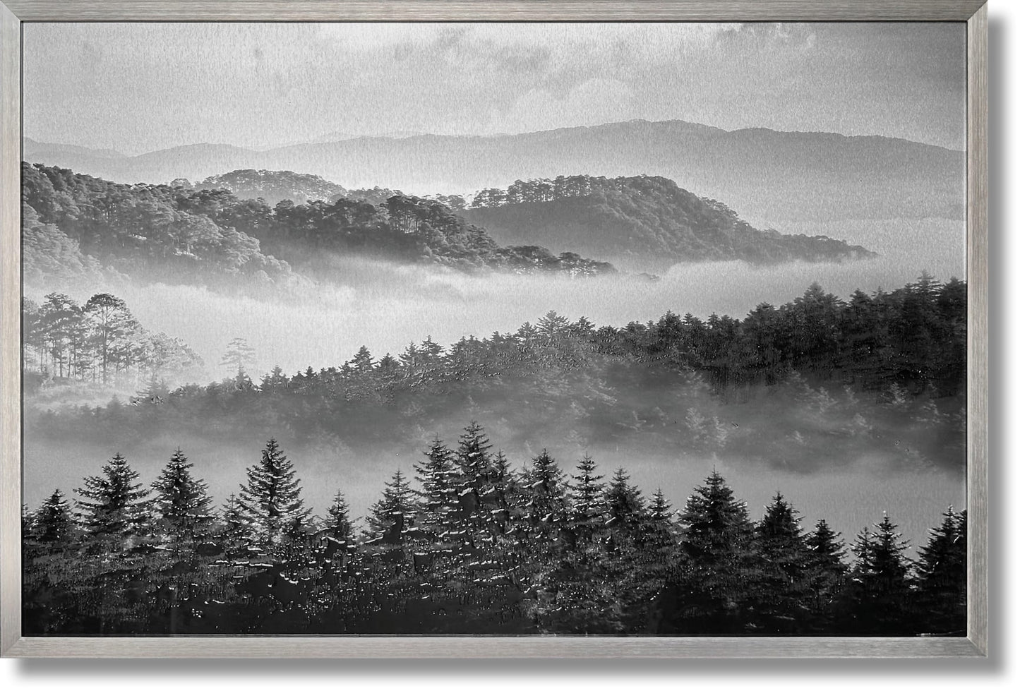 ''Black and White Misty Forest'' Brushed Aluminum in Frame