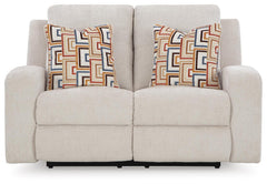 Danum Reclining Loveseat