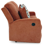 Conjunto de sofá reclinable y loveseat Danum