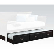 Bailee Solid Wood Twin Trundle with functional style