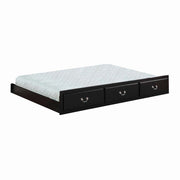 Bailee Solid Wood Twin Trundle with functional style