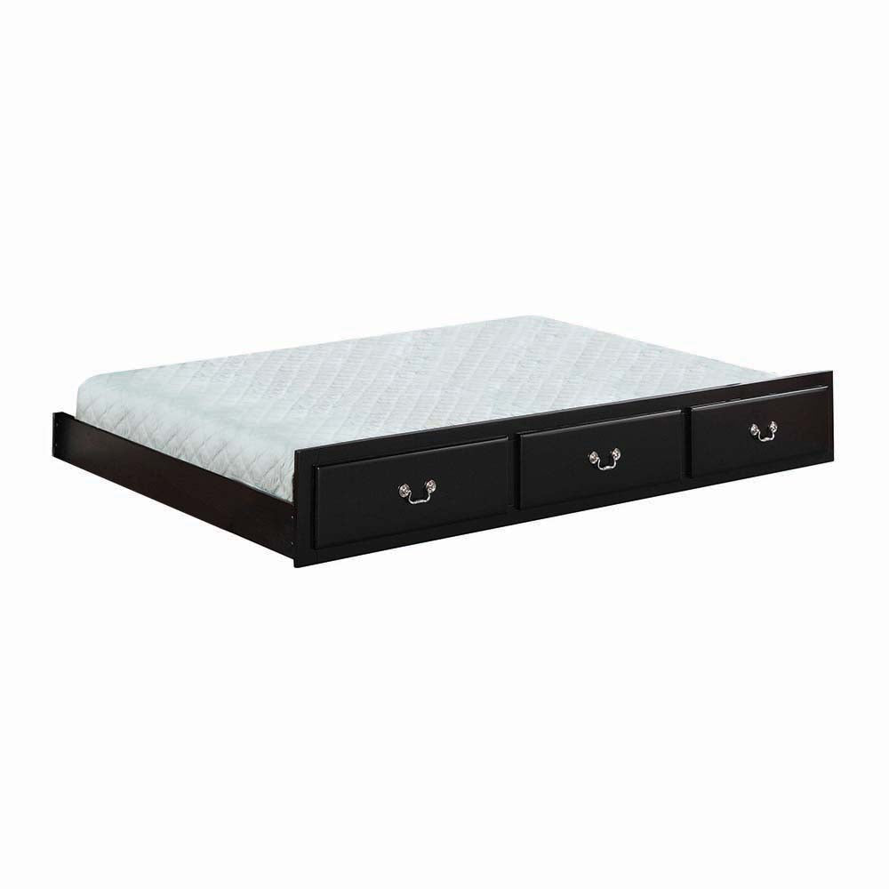 Bailee Solid Wood Twin Trundle with functional style