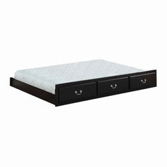 Bailee Solid Wood Twin Trundle with functional style