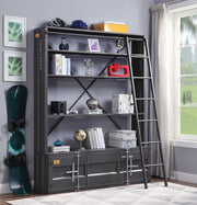 Cargo Bookcase with Ladder