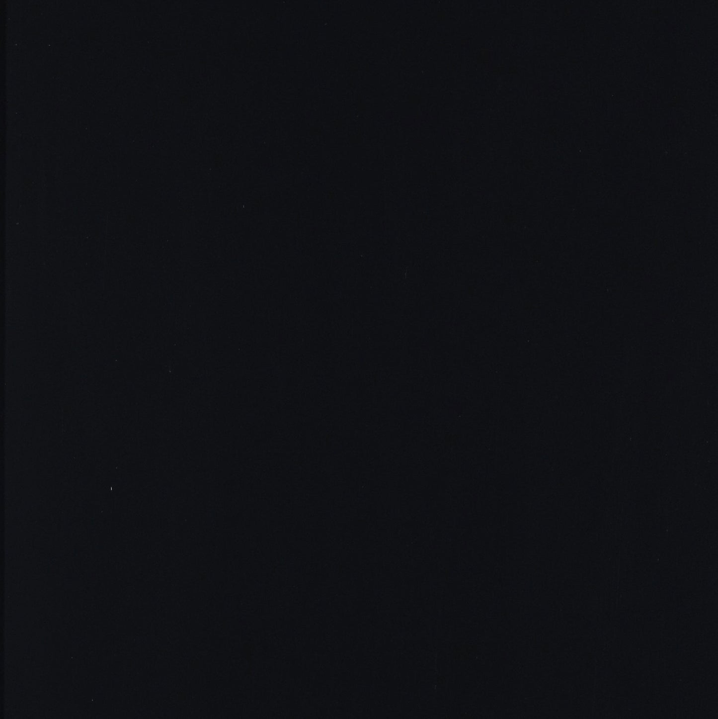 Littleton Wood Bunk Bed