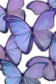 ''Ethereal Violet Butterflies'' Printed Wrapped Canvas